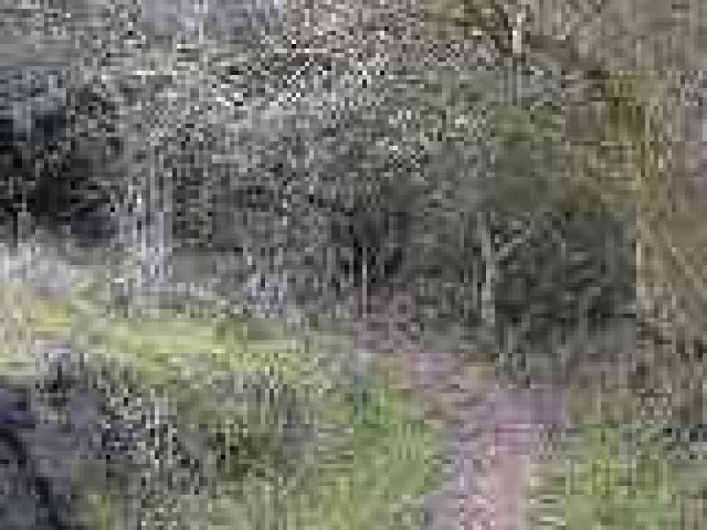 Path