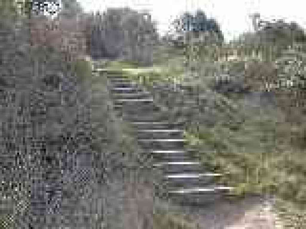 Steps