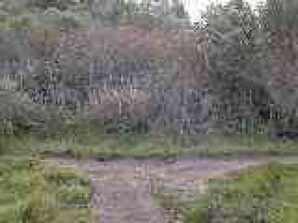 Junction