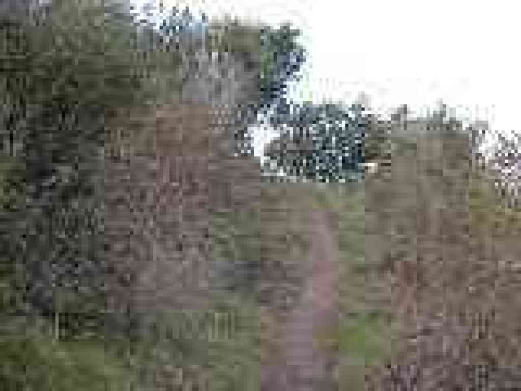 Trail turns away from a drop-off