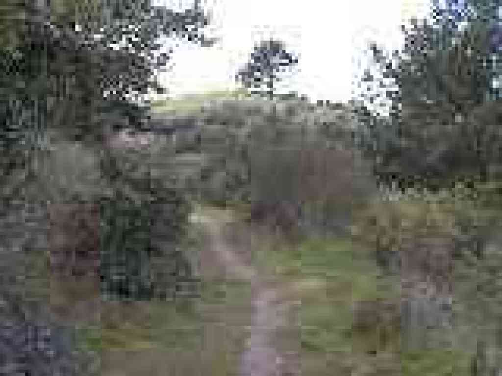 Spurs enter from the right