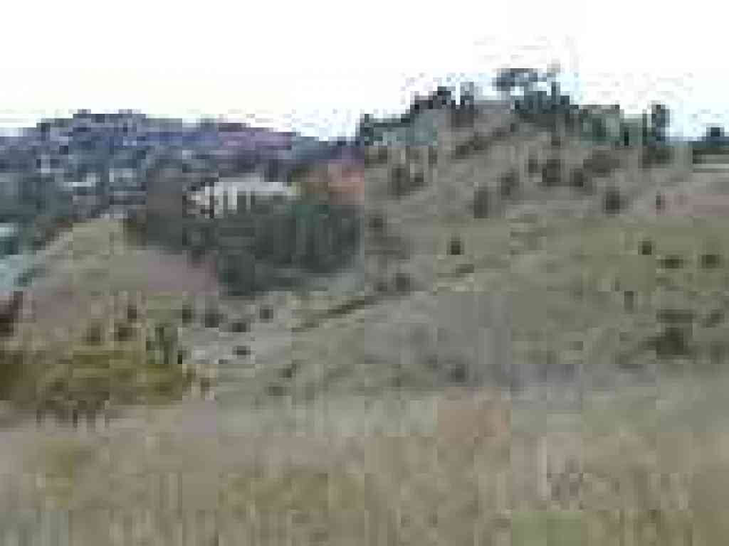 View north