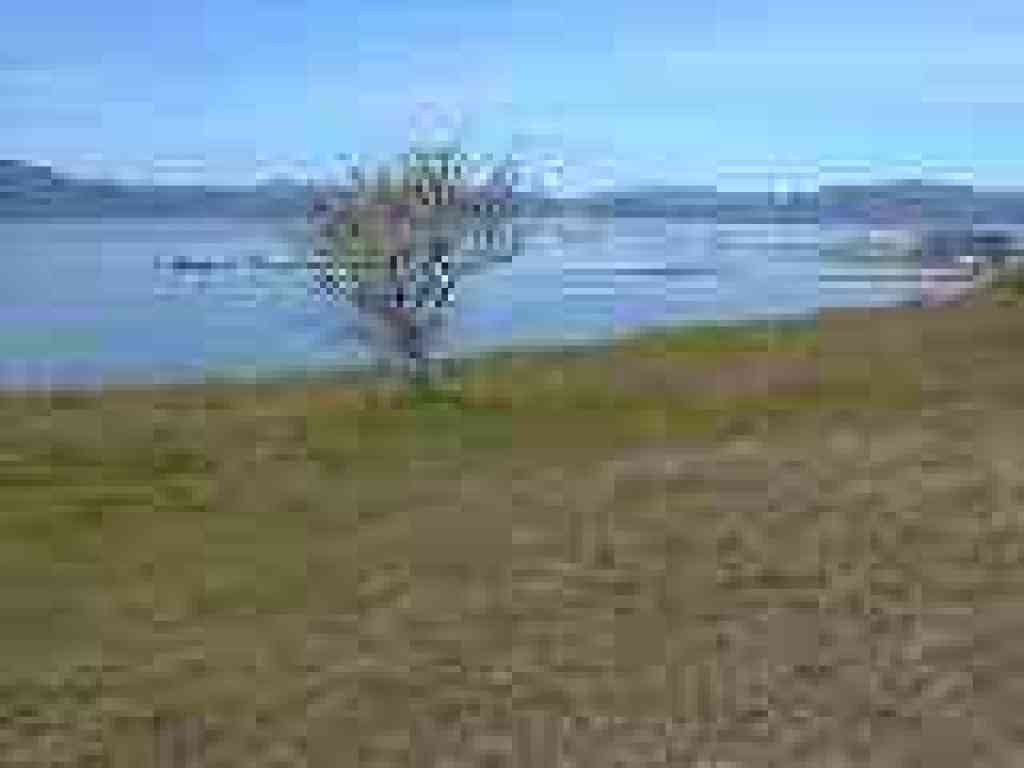 View and flowering fruit tree
