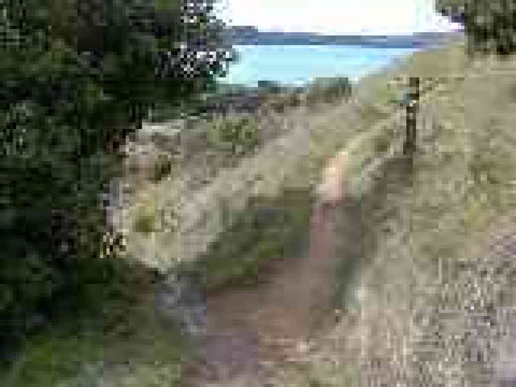Junction