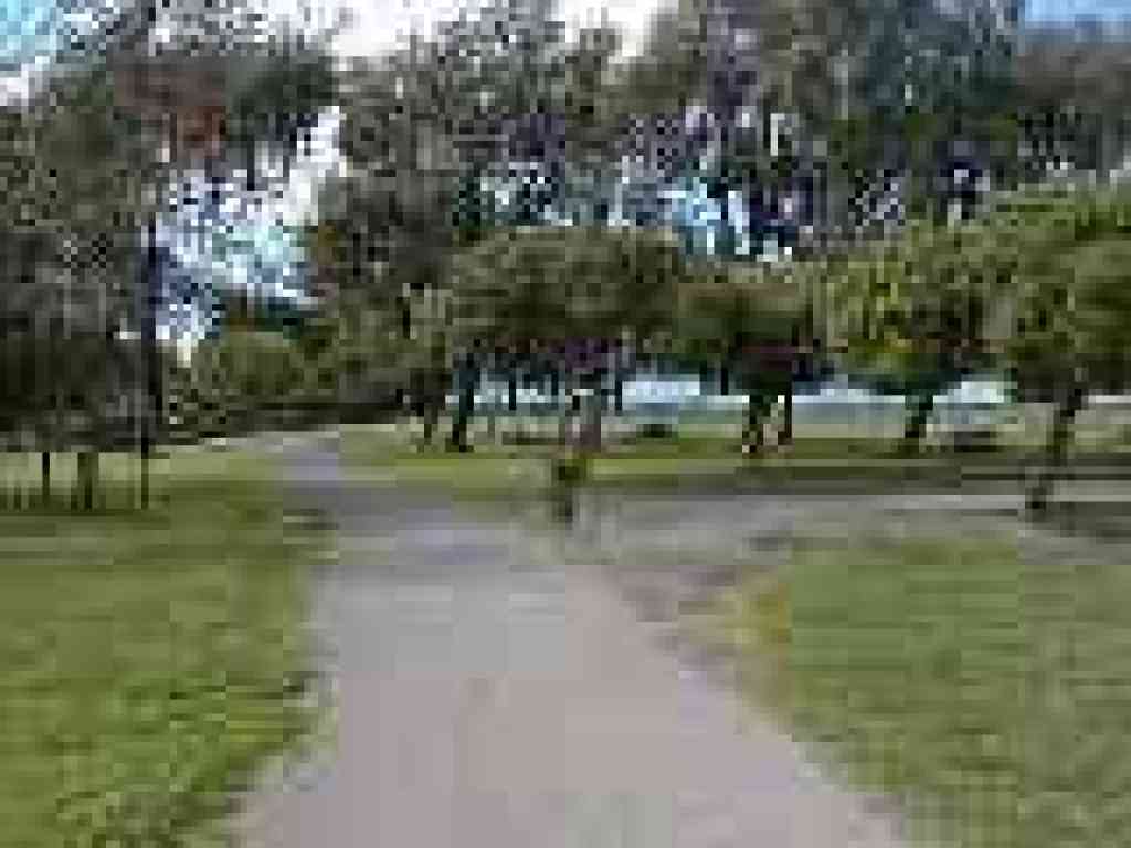 Split