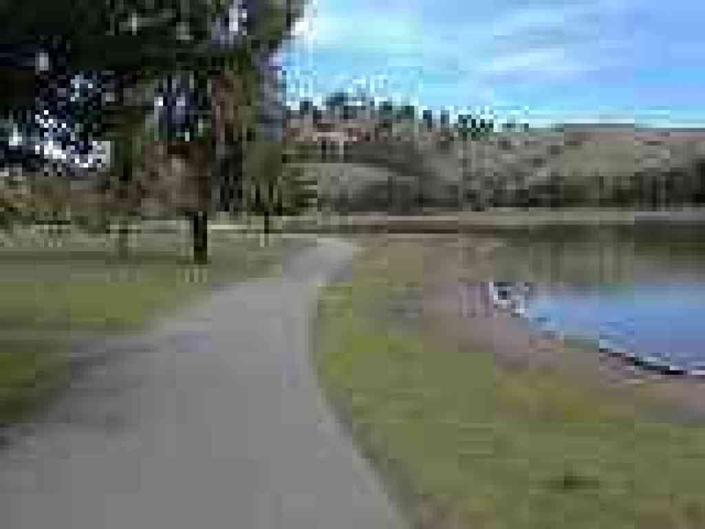 Near the edge of the lagoon